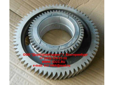 Шестерня привода распредвала промежуточная WP12 SHAANXI / Shacman (ШАНКСИ / Шакман) 612630030040 фото 1 Сочи