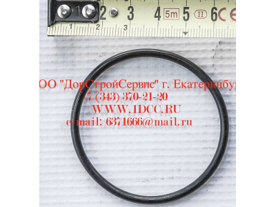 Кольцо уплотнительное ø346х3.5 гидромуфты ГТР CDM 855, 843 Lonking CDM (СДМ) 402236 фото 1 Сочи