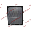 Радиатор WP12 SH SHAANXI / Shacman (ШАНКСИ / Шакман) DZ95259532203 фото 2 Сочи